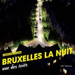 Bruxelles la nuit vue des toits